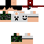 Texture for ds