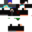 Texture for FRENCIS