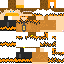 Texture for SpritZ520