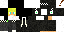 Texture for calvinategms