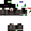 Texture for Ender