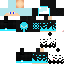 Texture for mineskin