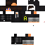 Texture for Dark_Sector