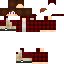 Texture for Steve