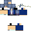 Texture for _SkyFox_
