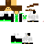 Texture for Flink