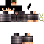 Texture for SrNewt