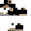 Texture for netee_p