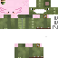 Texture for axo dino