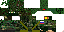 Texture for steve