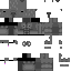 Texture for мистар капибара гигачат