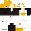 Texture for kedi