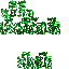 Texture for tree man