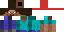 Texture for steve hat
