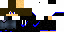 Texture for Eaglesightgame