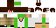 Texture for steve