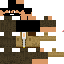 Texture for pp