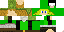Texture for Link