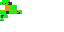 Texture for turtle