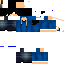 Texture for hayllander_craft