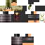 Texture for SrNewt