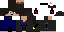 Texture for Sam