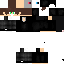 Texture for steve
