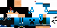 Texture for Swag