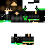 Texture for steve