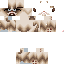 Texture for gr