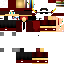 Texture for igor