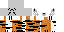 Texture for Snow Leopard