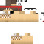 Texture for ds