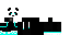 Texture for panda