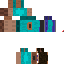 Texture for Se3pnon