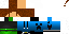 Texture for reger