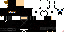 Texture for Ninja