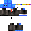 Texture for sam