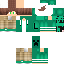 Texture for ds