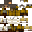 Texture for Hufflepuff Quidditch Player 