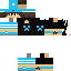 Texture for ds<