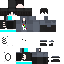 Texture for sir_ping