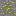 Texture for dawdsa