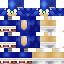 Texture for Sonic