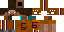Texture for clemson