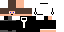 Texture for max