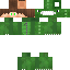 Texture for pudimgo
