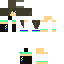 Texture for Mestermc Hannorista