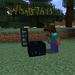 Texture for steve said whats this