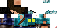 Texture for endersteve
